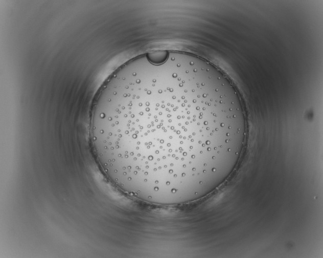 X0000112540994200909071417