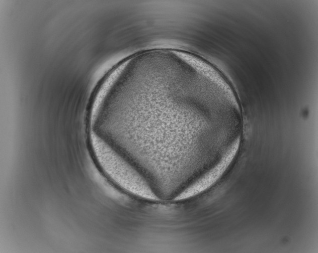 X0000112540995200909071417
