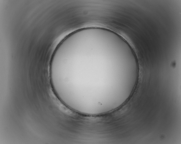 X0000112540996200909071417
