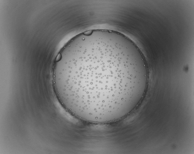 X0000112540998200909071417