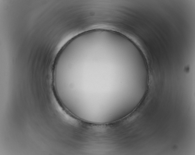 X0000112540999200909071417