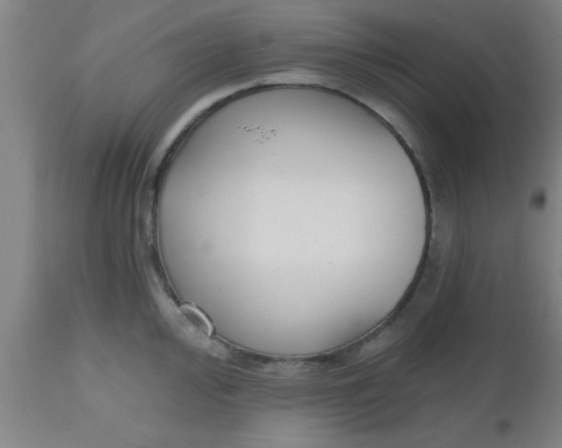 X0000112541000200909071417