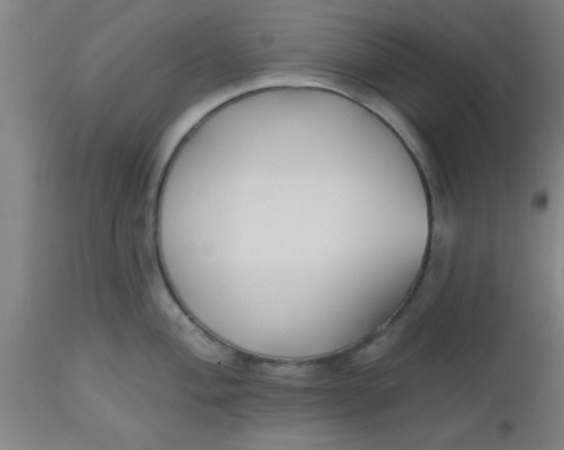 X0000112541004200909071417