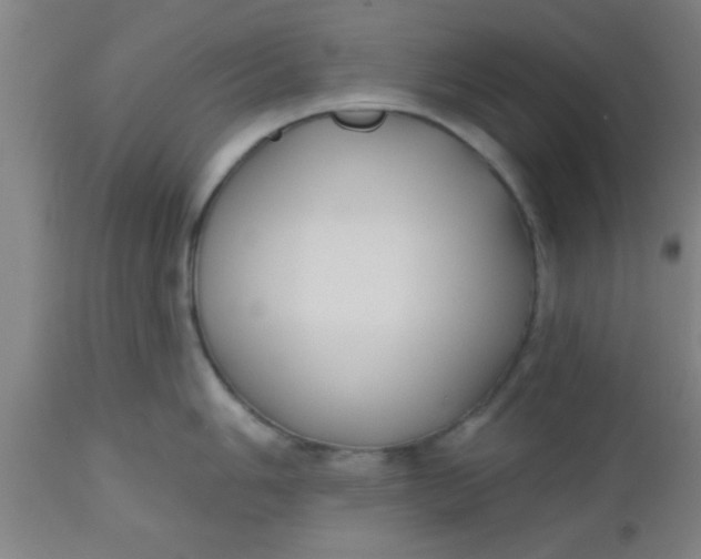 X0000112541006200909071417