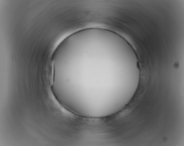 X0000112541007200909071417