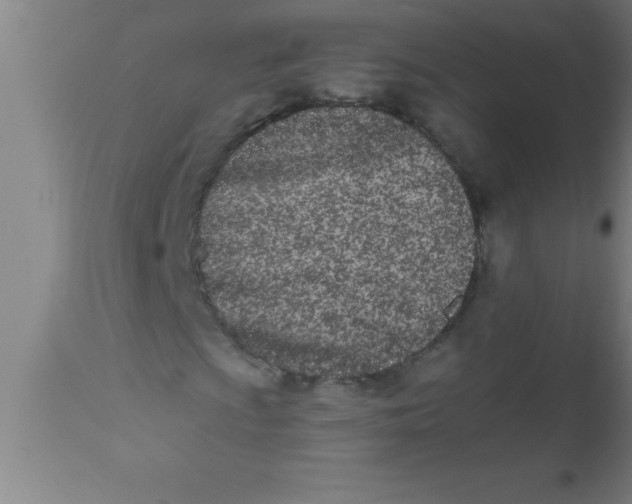 X0000112541009200909071416