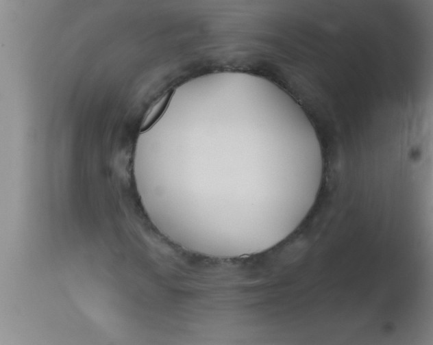 X0000112541010200909071416