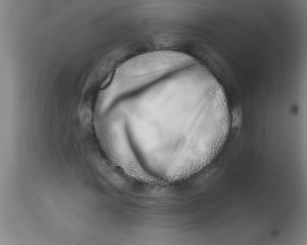 X0000112541011200909071416