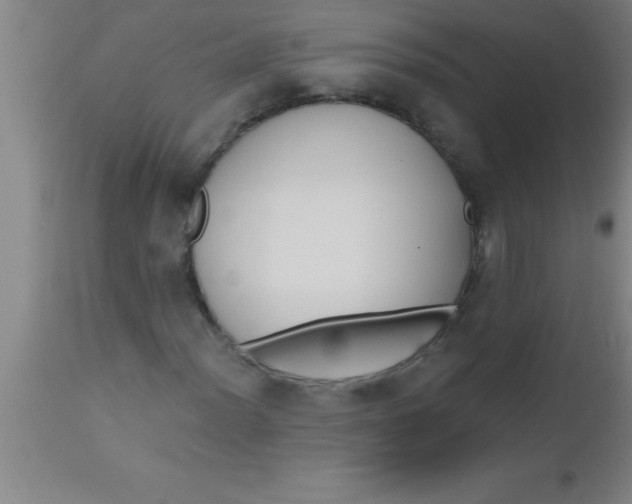 X0000112541012200909071416