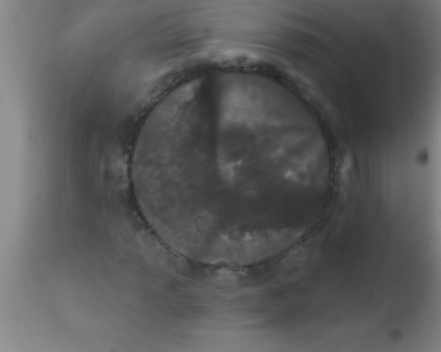 X0000112541013200909071416