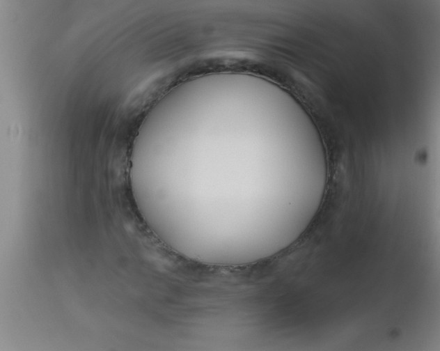 X0000112541014200909071416