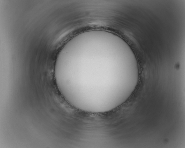 X0000112541015200909071416