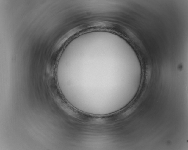 X0000112541017200909071416