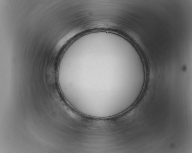 X0000112541018200909071416