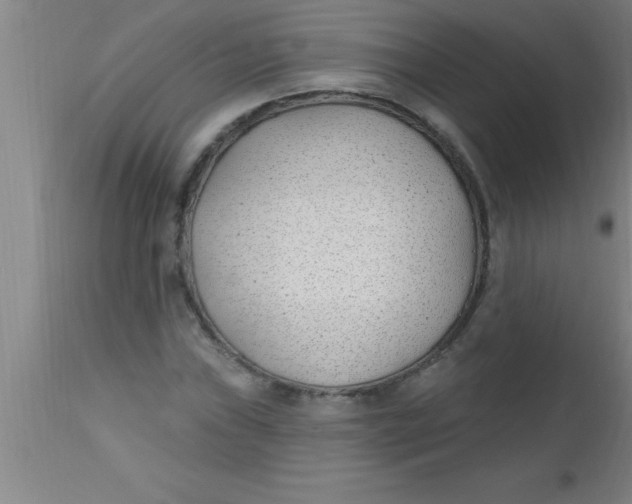 X0000112541019200909071416
