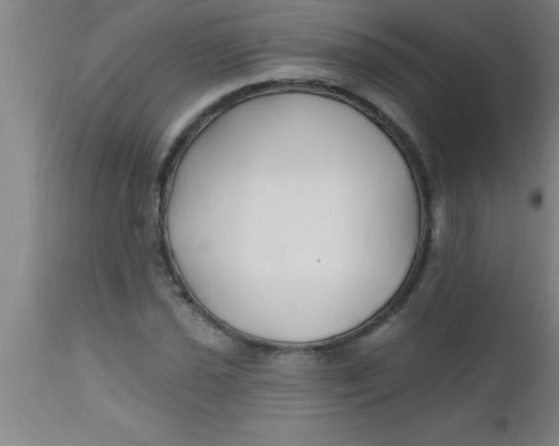 X0000112541021200909071416