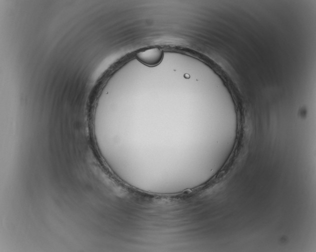 X0000112541022200909071416
