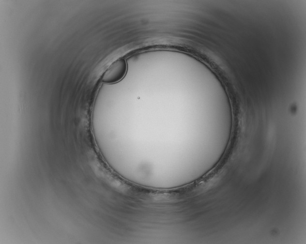 X0000112541025200909071416