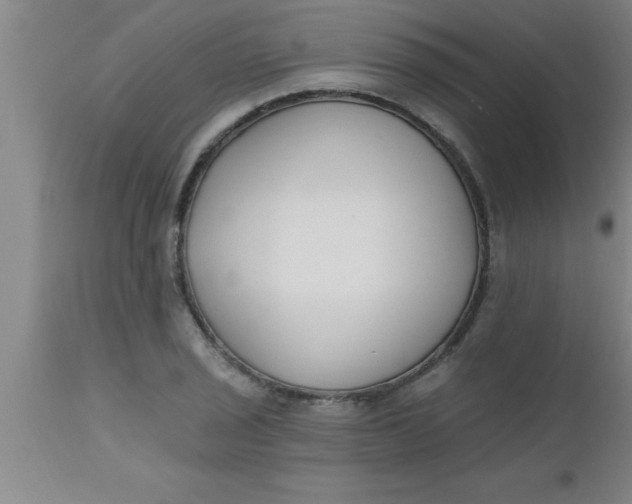 X0000112541029200909071416