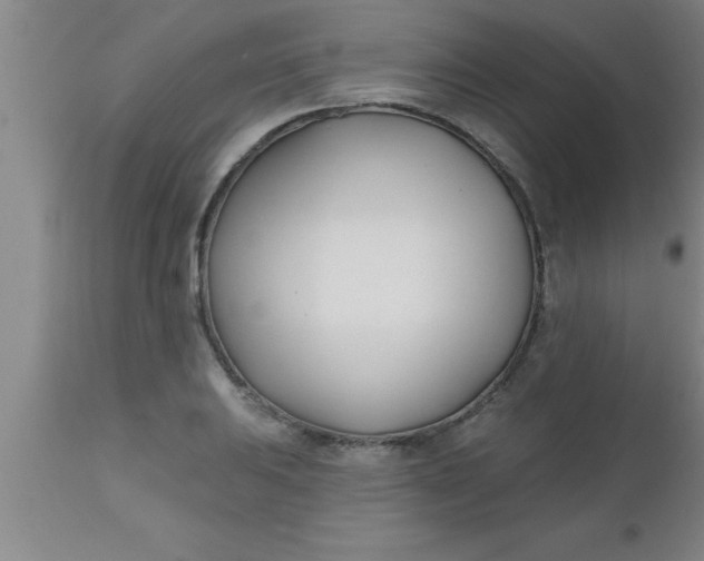 X0000112541031200909071416