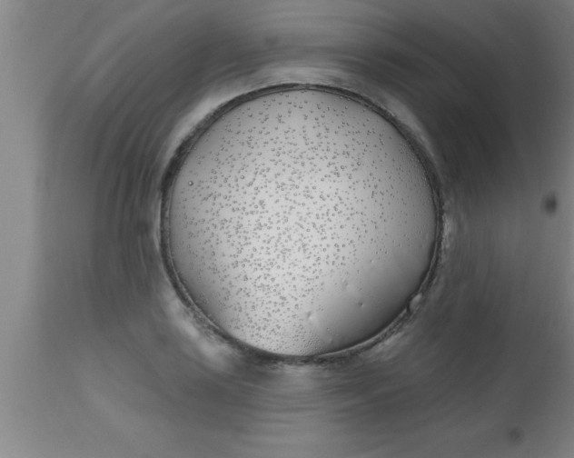 X0000112541035200909071417