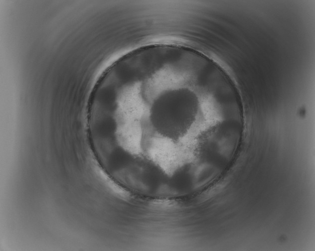 X0000112541037200909071417