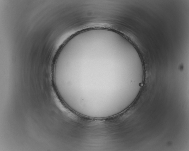 X0000112541038200909071417