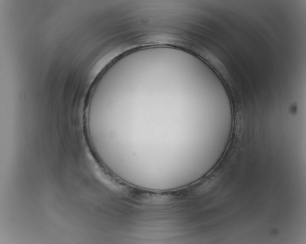 X0000112541039200909071417
