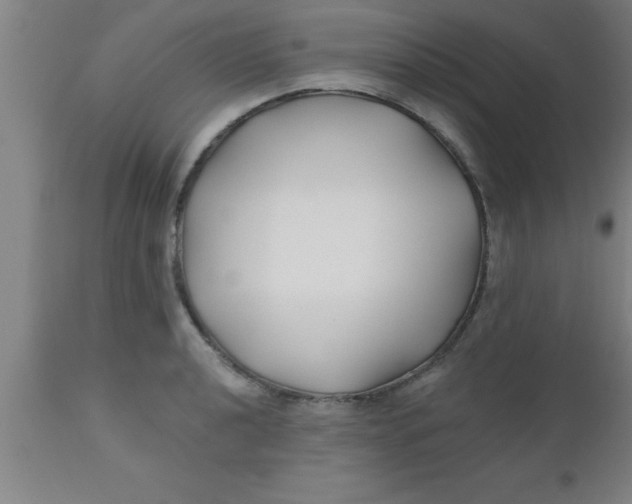 X0000112541040200909071417
