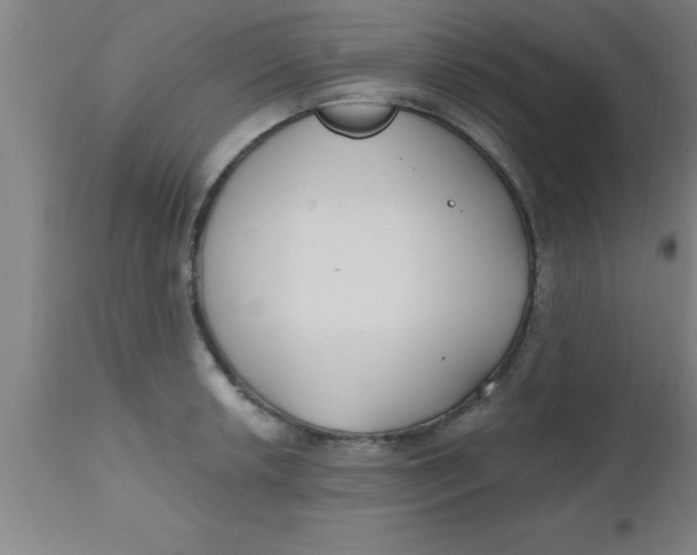 X0000112541042200909071417