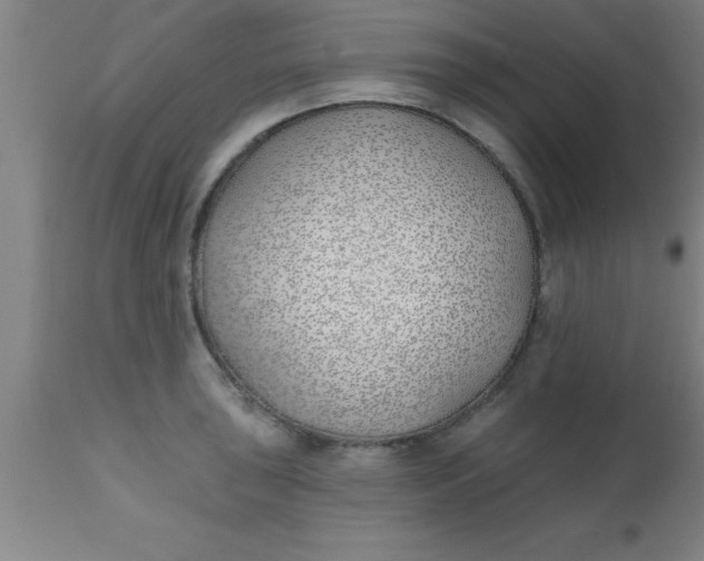 X0000112541043200909071417