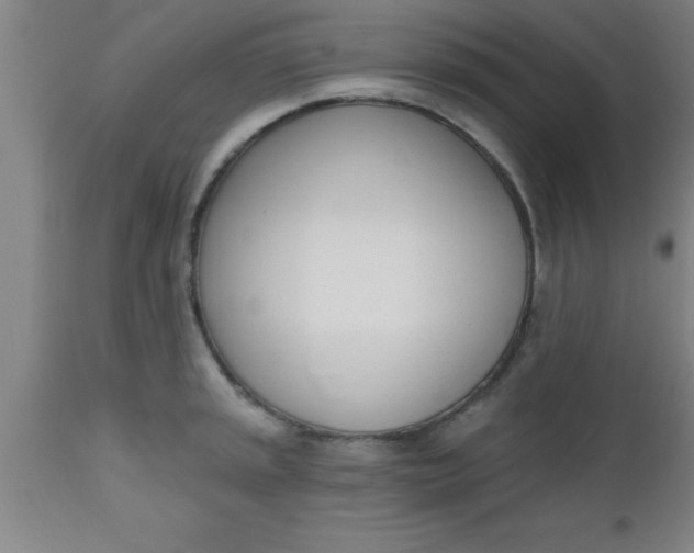 X0000112541045200909071417
