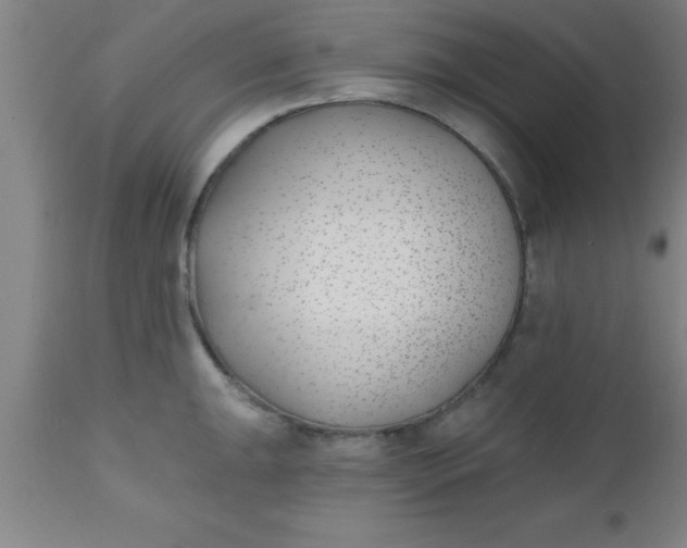 X0000112541047200909071417
