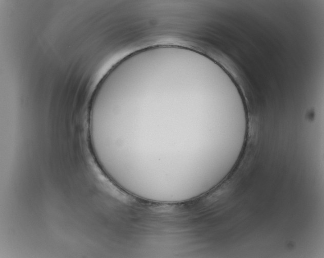 X0000112541048200909071417