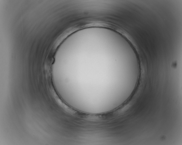 X0000112541049200909071417