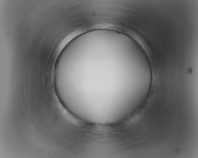 X0000112541050200909071417