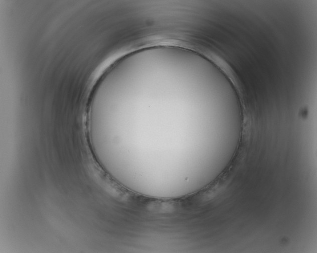 X0000112541051200909071417