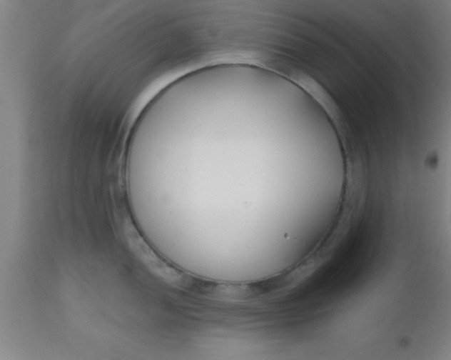 X0000112541052200909071417