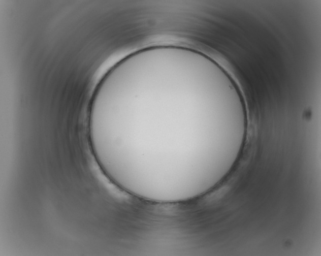 X0000112541053200909071417