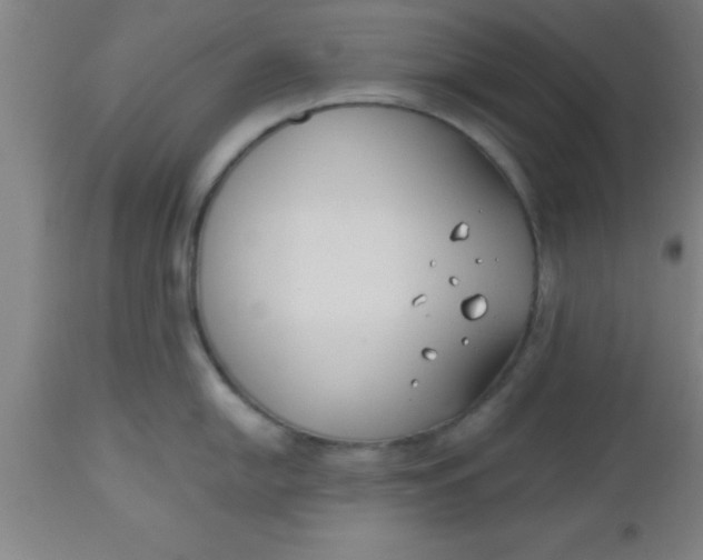 X0000112541054200909071417