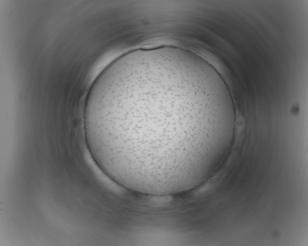X0000112541055200909071417