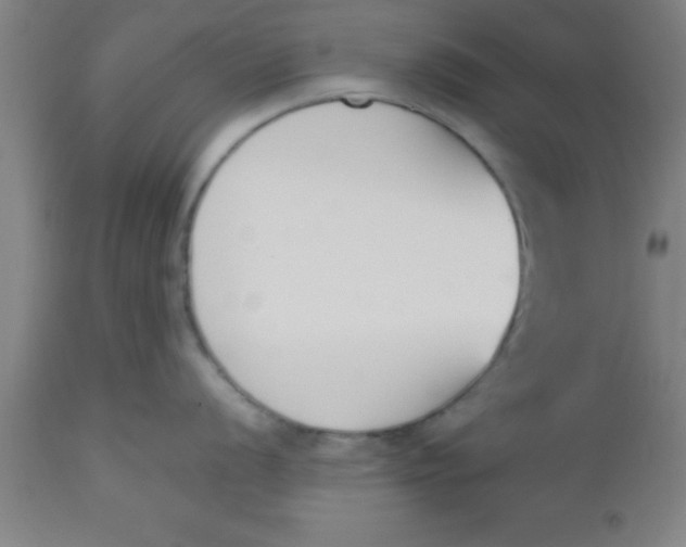 X0000112541056200909071417