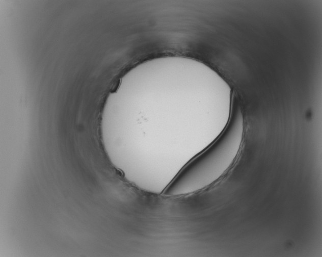 X0000112541057200909071416