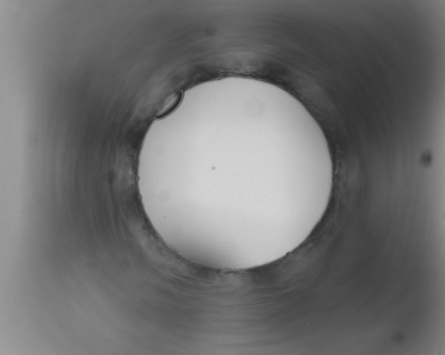 X0000112541058200909071416