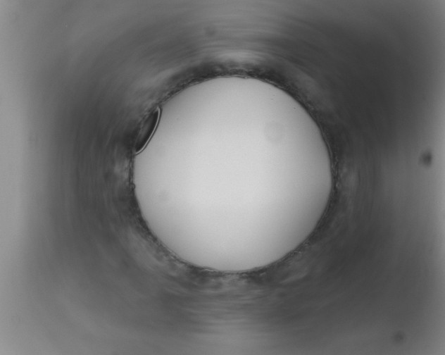 X0000112541061200909071416