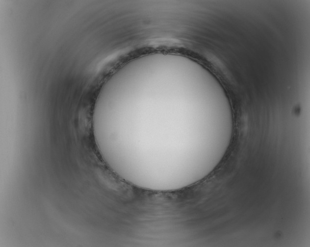X0000112541063200909071416