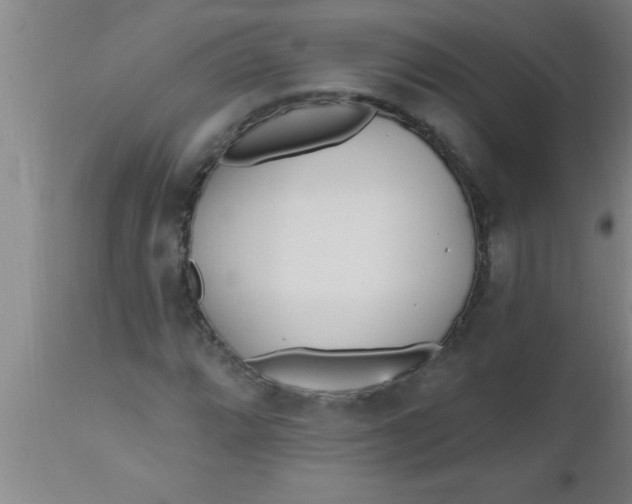 X0000112541064200909071416