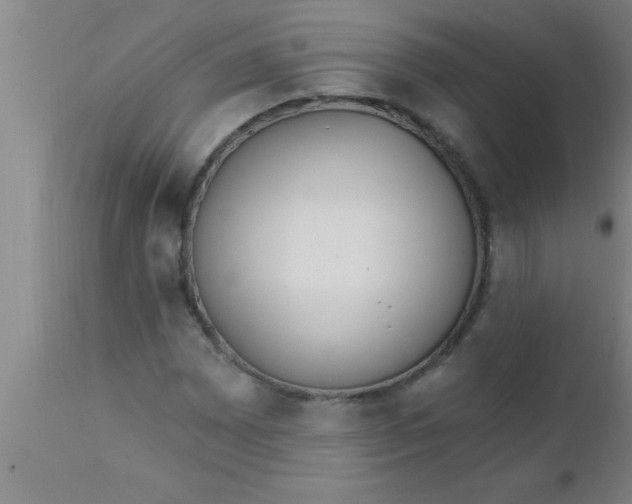 X0000112541065200909071416