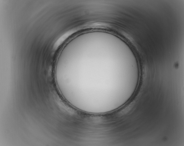 X0000112541066200909071416
