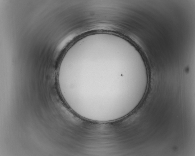 X0000112541067200909071416